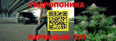 крисы Малгобек