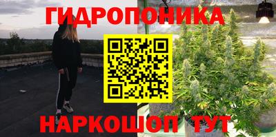 крисы Малгобек