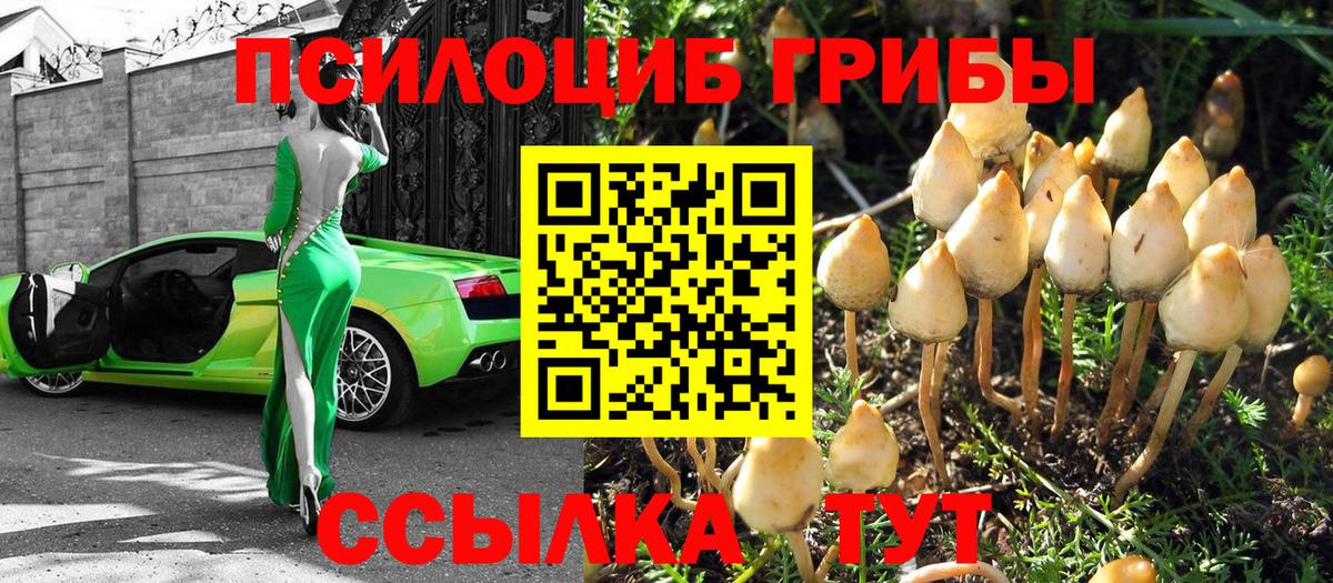 где купить наркотик  Вход с VPN  Севастополь  Галлюциногенные грибы GOLDEN TEACHER 